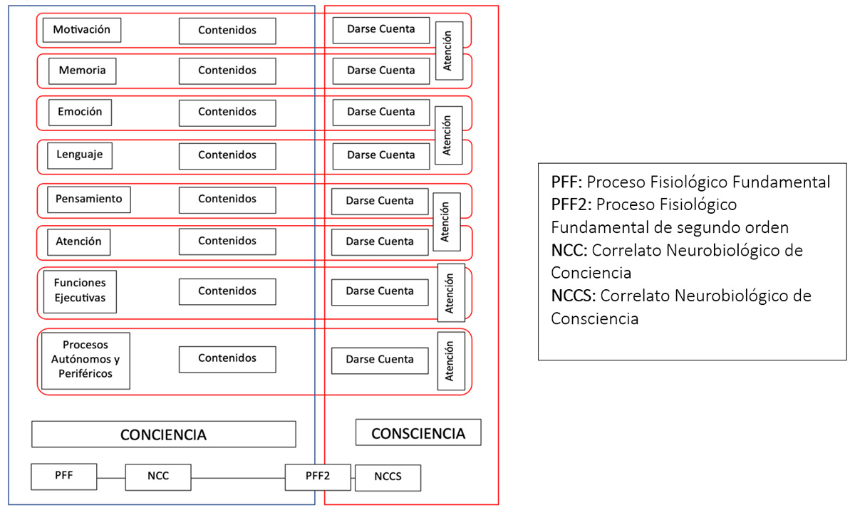 Esquema de dimensiones de relación entre PFF, NCC y NCCS