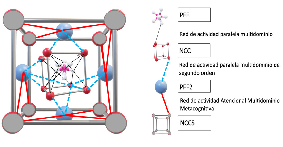 Conexiones y niveles de red de conciencia y consciencia